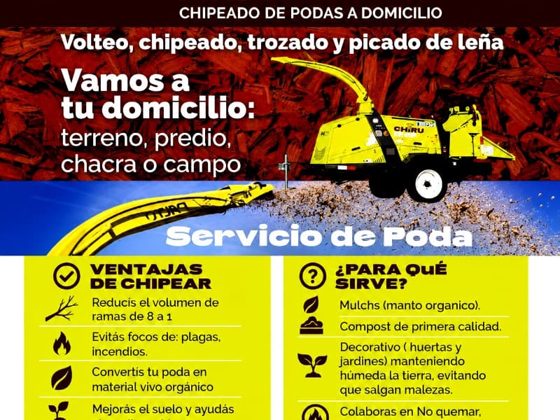 CHIRUCHIP